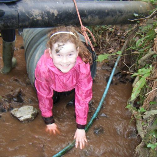 Stream Walk Challenges